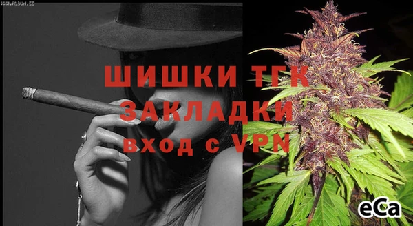 сатива Богородицк