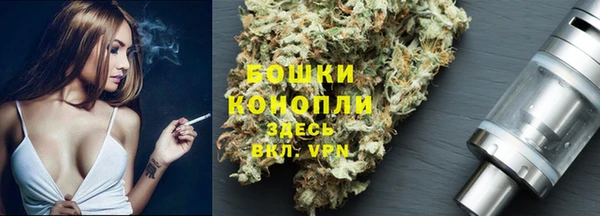первитин Богородск