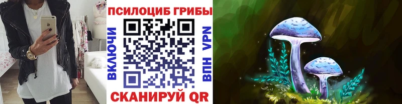 дарнет шоп  Волосово  Псилоцибиновые грибы GOLDEN TEACHER 
